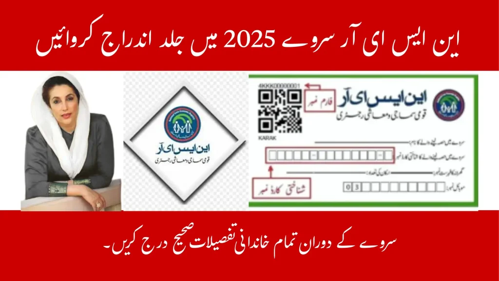 BISP NSER Survey